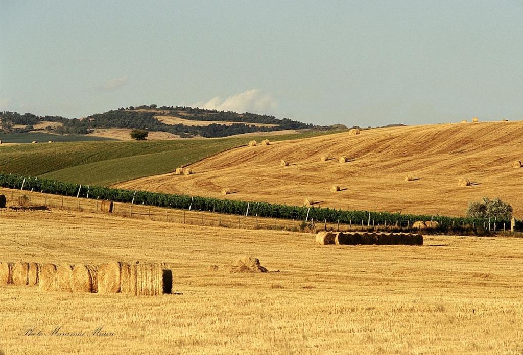 Podere Biancospino Chianciano Terme Esterno foto
